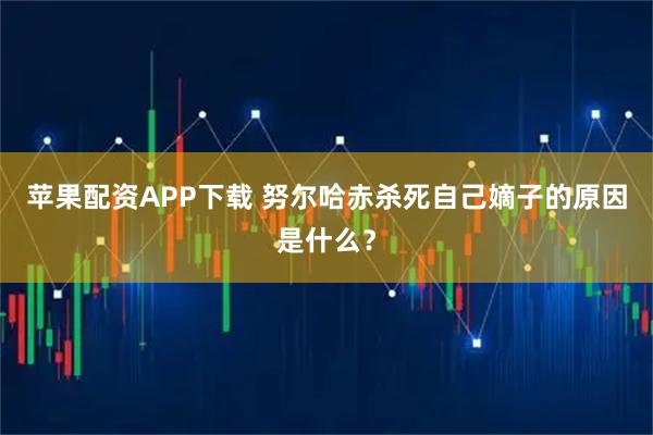 苹果配资APP下载 努尔哈赤杀死自己嫡子的原因是什么？